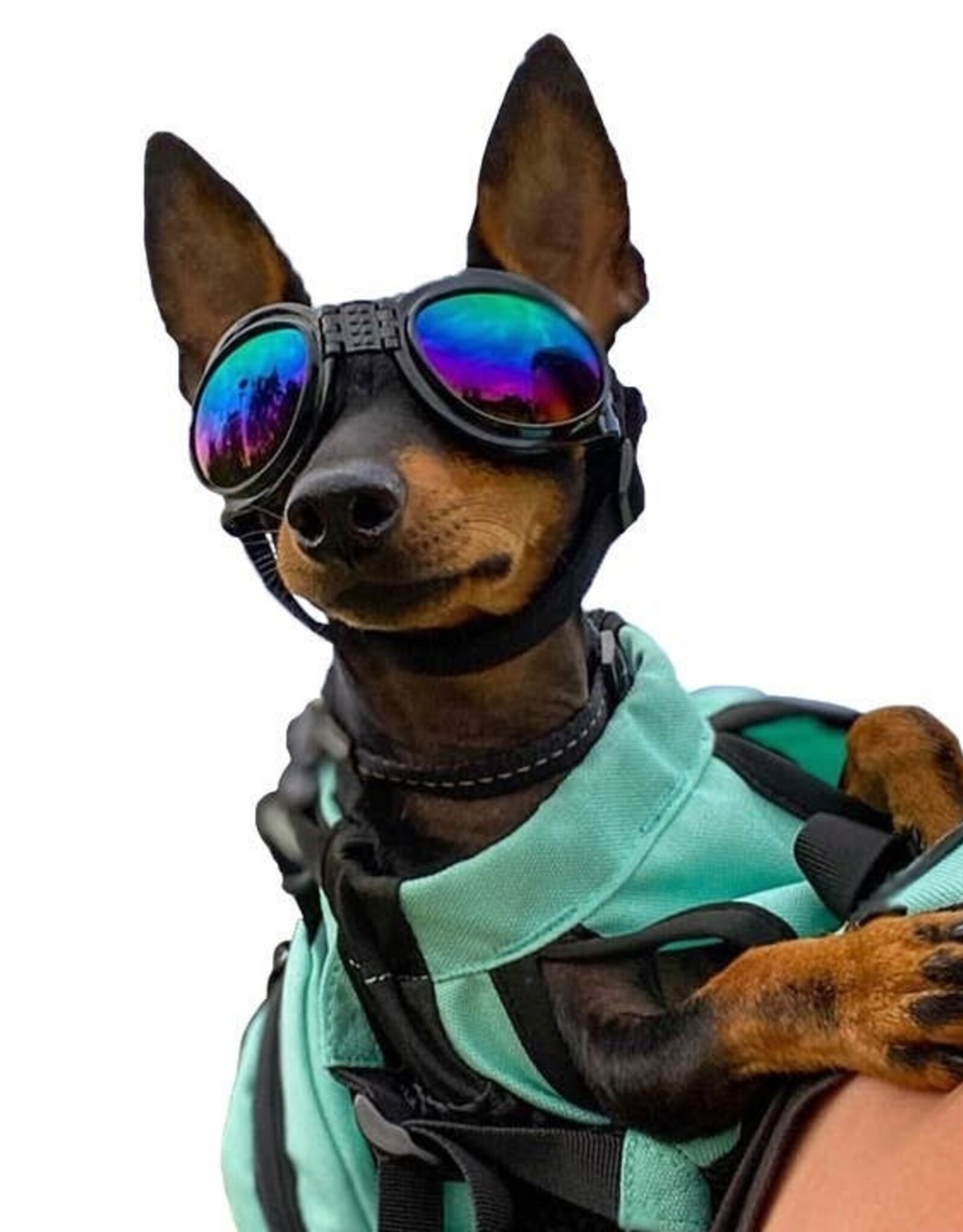 K9 Sport Shades - Dog Goggles