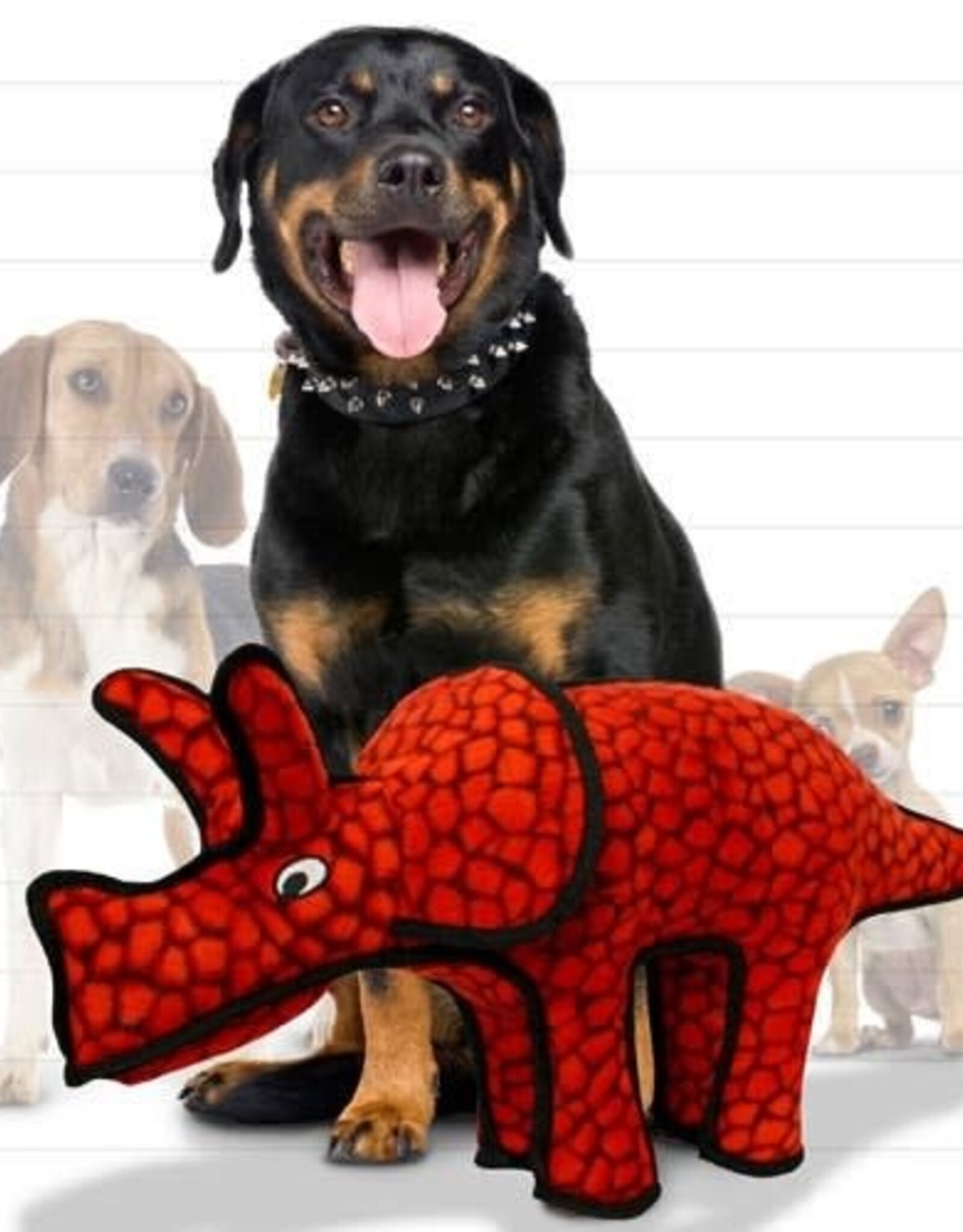 Tuffy Dinosaur Triceratops