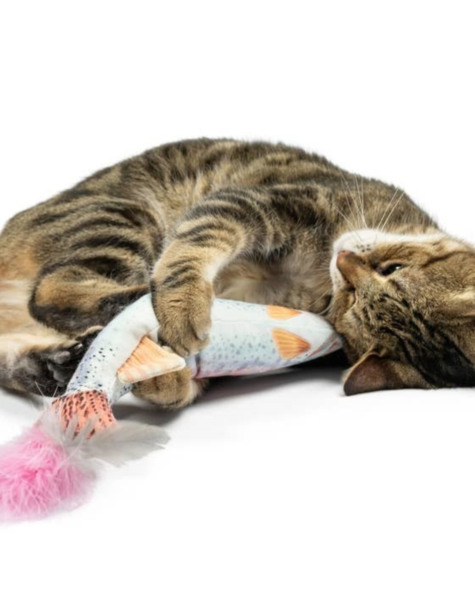 Huxley & Kent Rainbow Trout Kicker For Cats