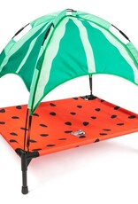 Watermelon Canopy Bed