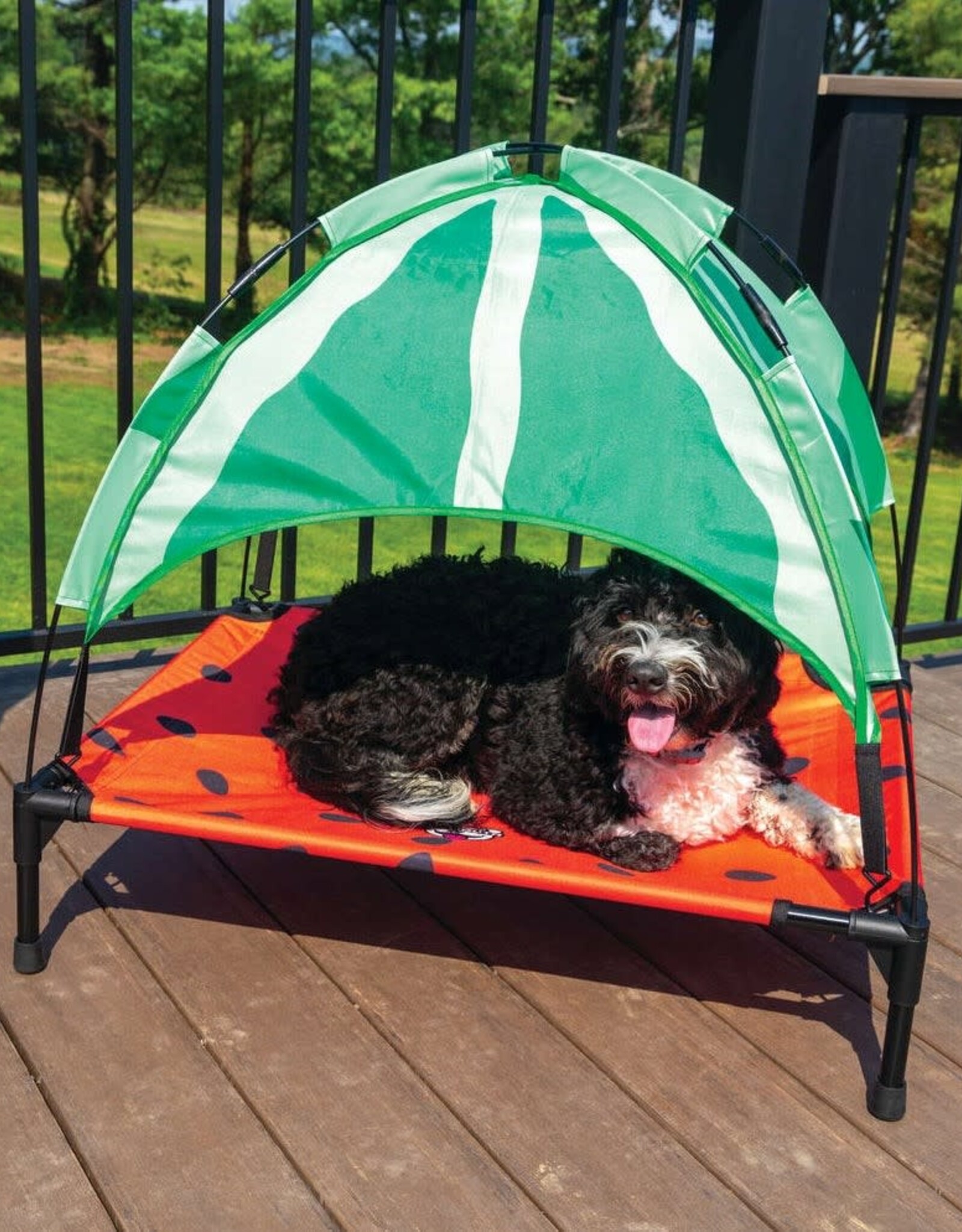 Watermelon Canopy Bed