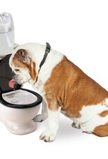 The Toilet Water Dish