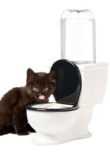 The Toilet Water Dish