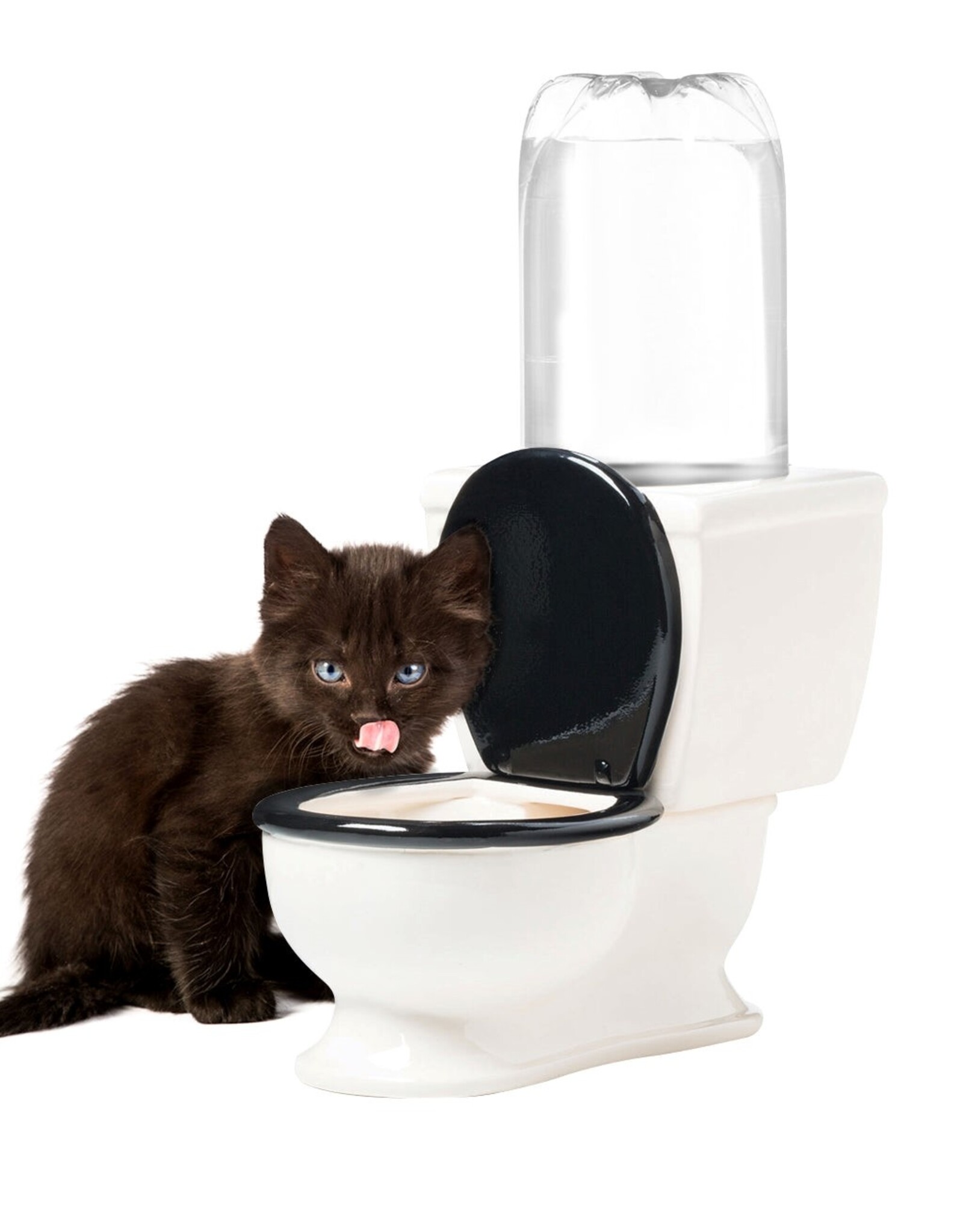 The Toilet Water Dish