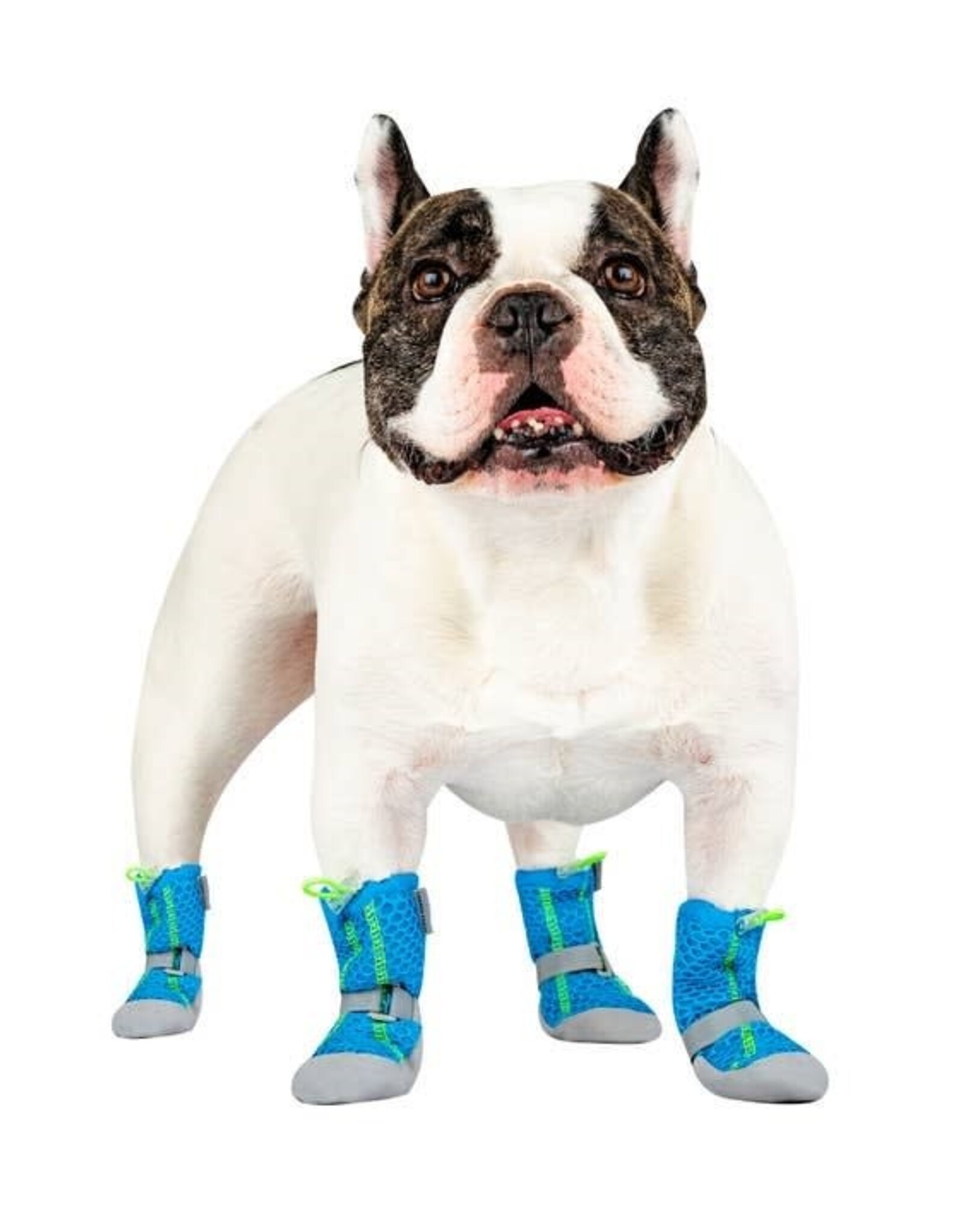 Canada Pooch Canada Pooch Hot Pavement Boots