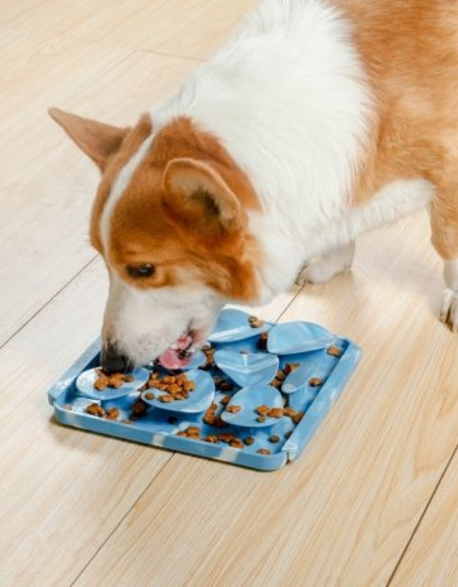 Tall Tails Foraging Mat for Dogs
