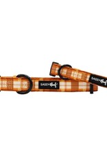 Sassy Woof Sassy Woof Spiced Harvest Adjustable Dog Collar