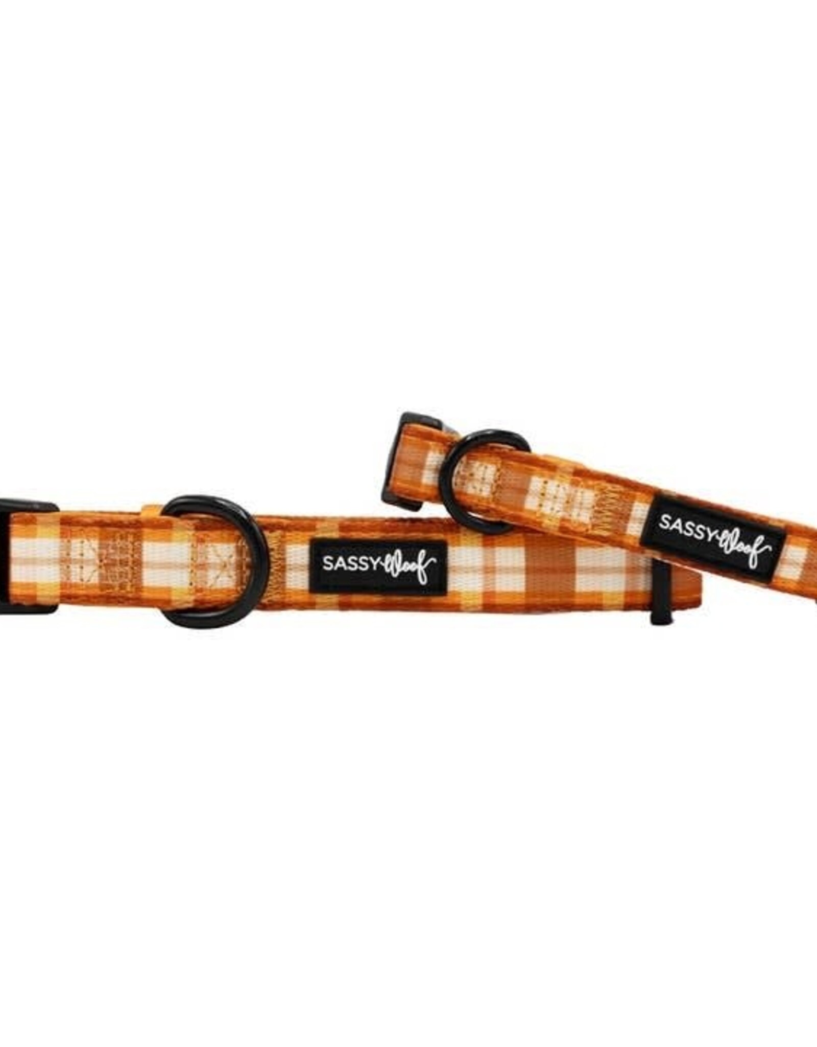 Sassy Woof Sassy Woof Spiced Harvest Adjustable Dog Collar