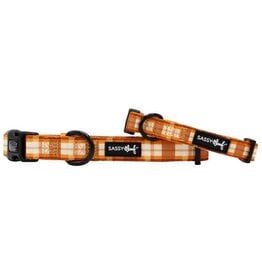 Sassy Woof Sassy Woof Spiced Harvest Adjustable Dog Collar