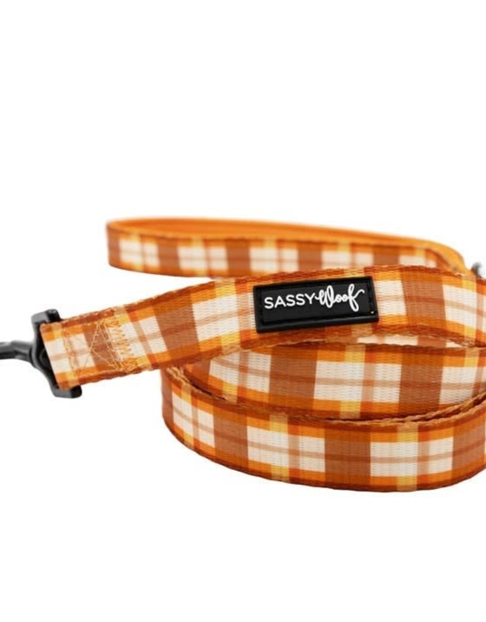 Sassy Woof Sassy Woof Spiced Harvest Leash