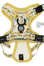 Sassy Woof Sassy Woof Sunflower Dreams Dog Adventure Harness