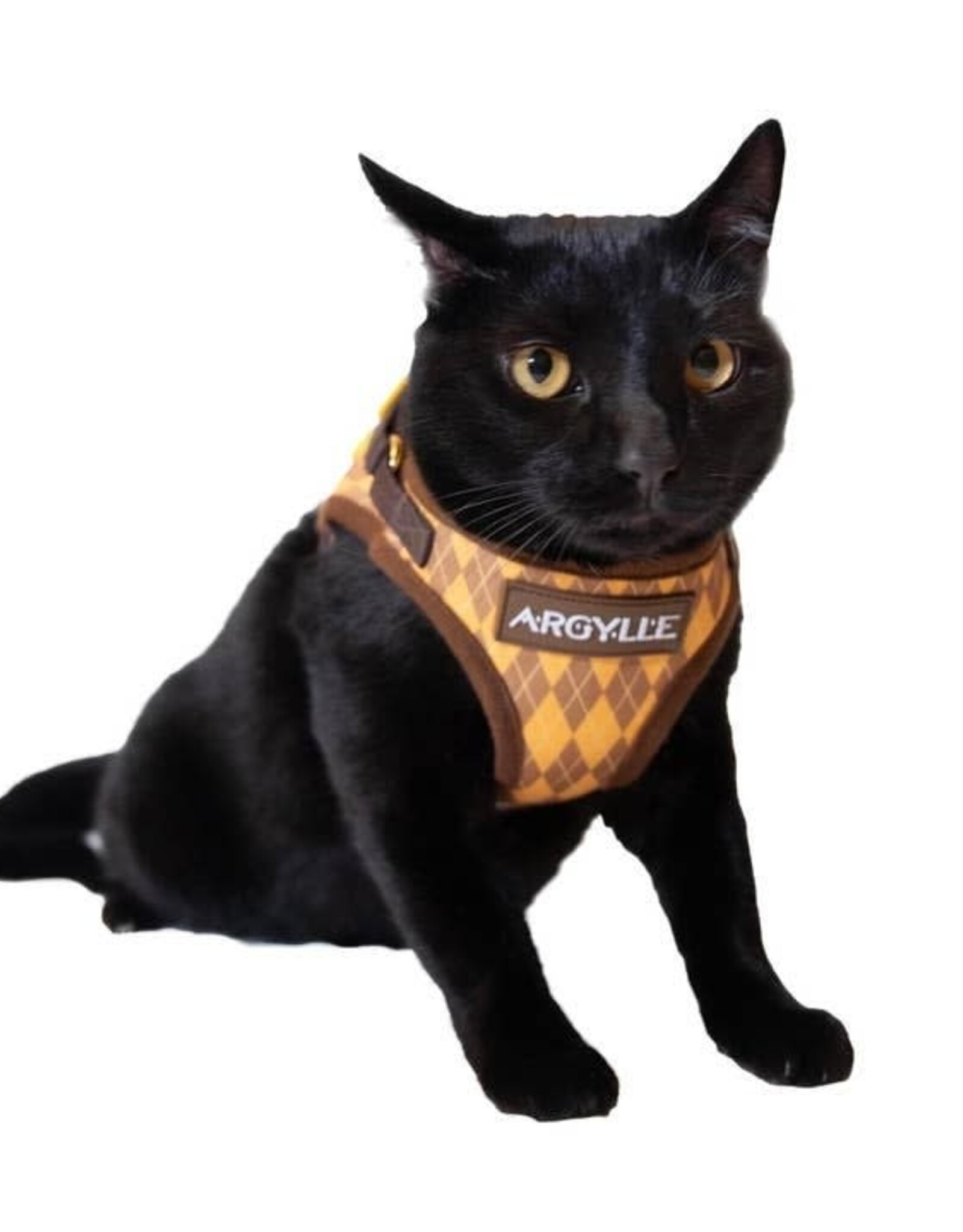 Travel Cat Argylle X Travel Cat Harness & Leash Reflective