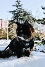 Travel Cat "the Emerald Explorer" Green Cat Harness & Leash Set