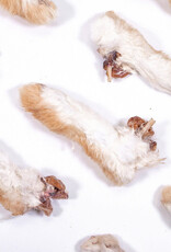 Rabbit Tap Dehydrated Rabbit Feet Rabbit Tap Dehydrated Rabbit Feet
