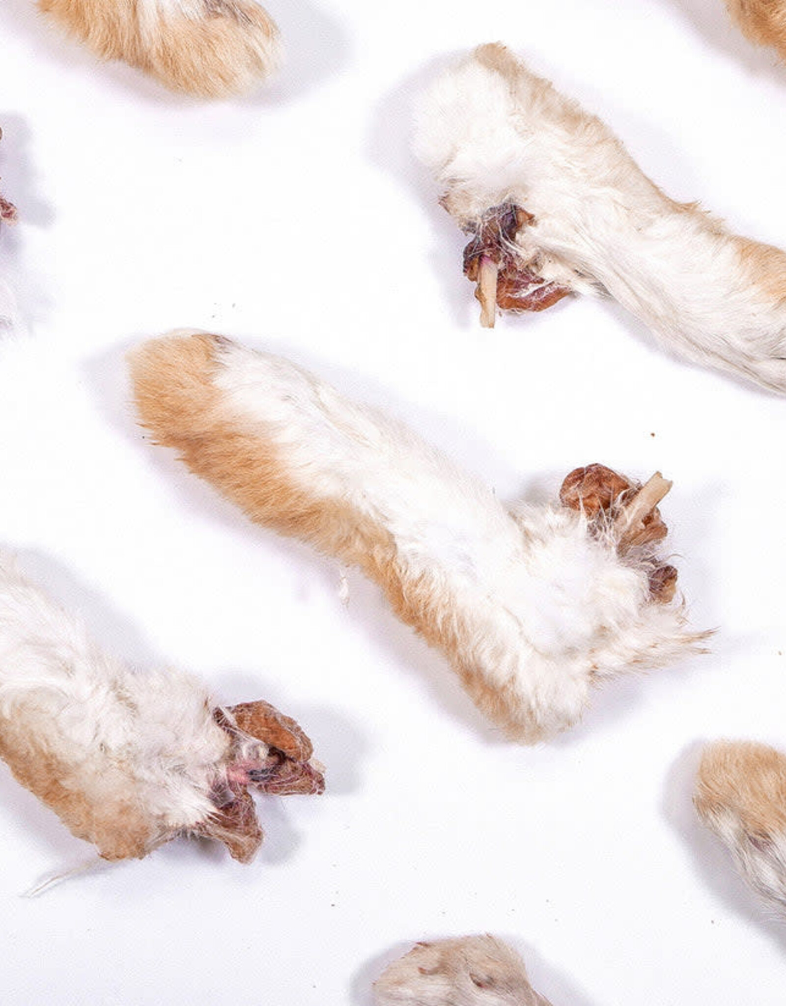 Rabbit Tap Dehydrated Rabbit Feet