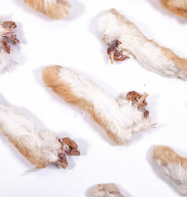 Rabbit Tap Dehydrated Rabbit Feet
