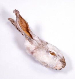 Rabbit Tap Rabbit Tap Dehydrated Rabbit Head with Ears