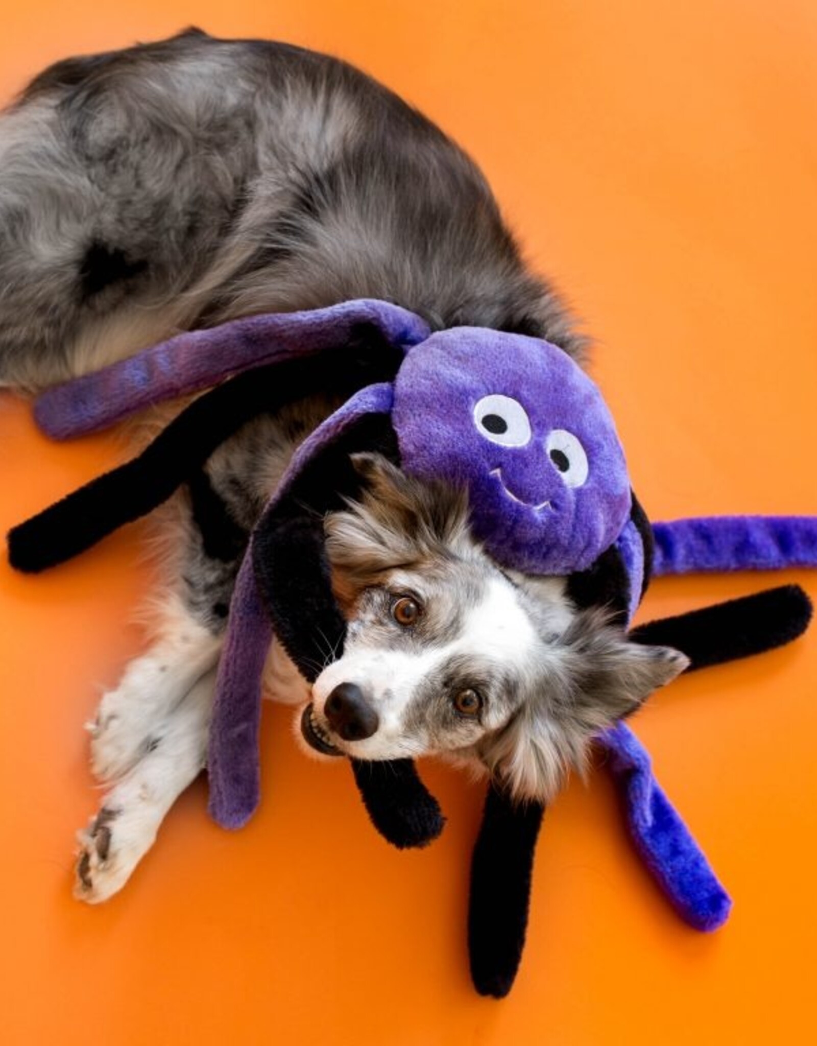 ZippyPaws Halloween Spider