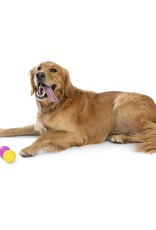 West Paw West Paw Boundr - Assorted Colors