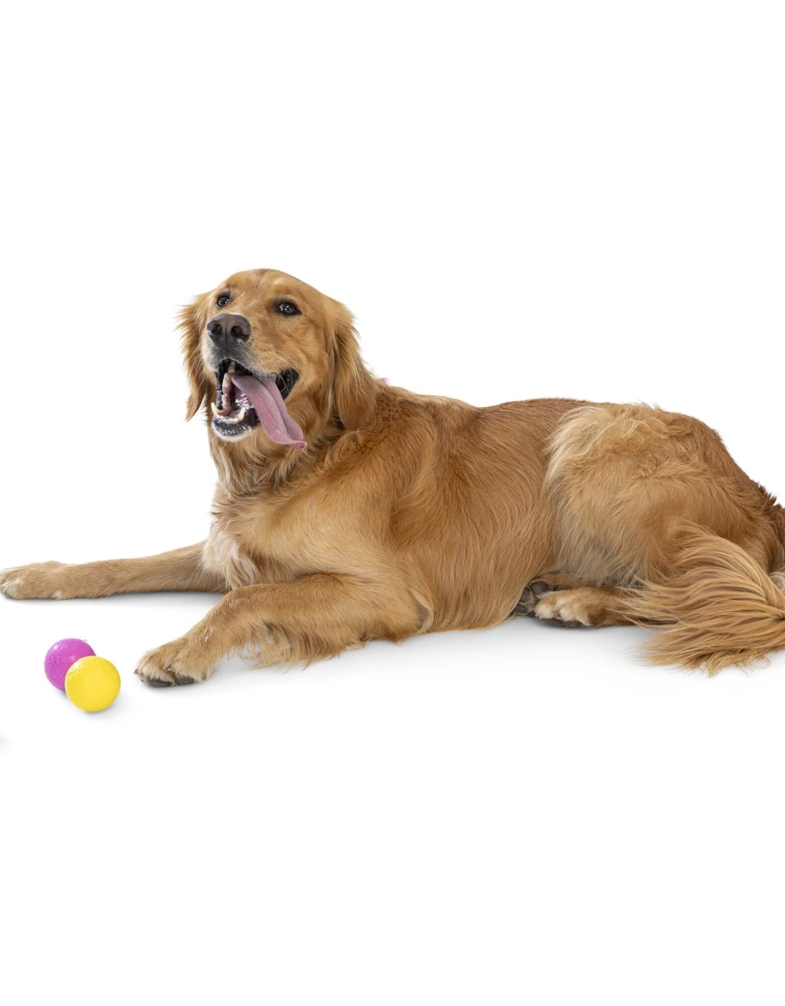 West Paw West Paw Boundr - Assorted Colors