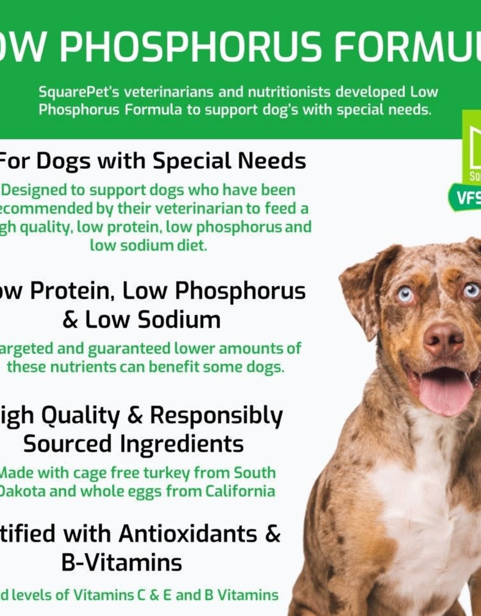 Squarepet SquarePet VFS Low Phosphorus Formula