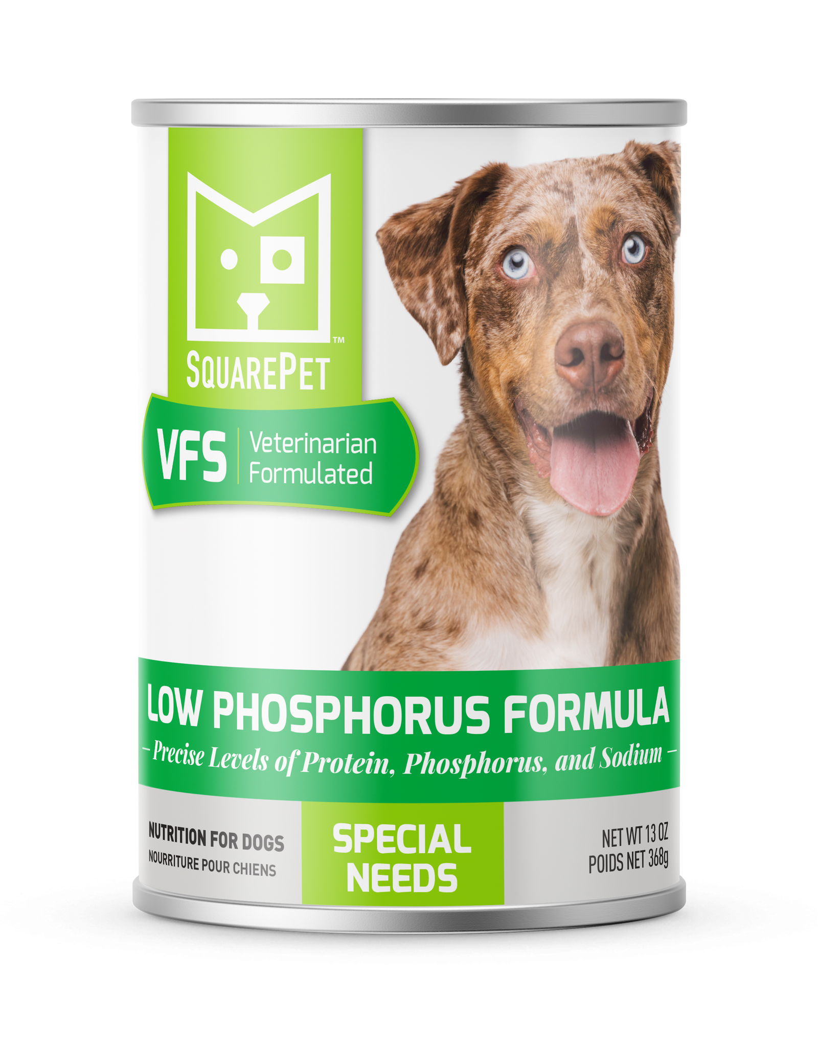 Squarepet SquarePet VFS Low Phosphorus Formula Can