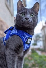 Travel Cat The Groovy Cat Tie Dye Cat Reflective Cat Harness
