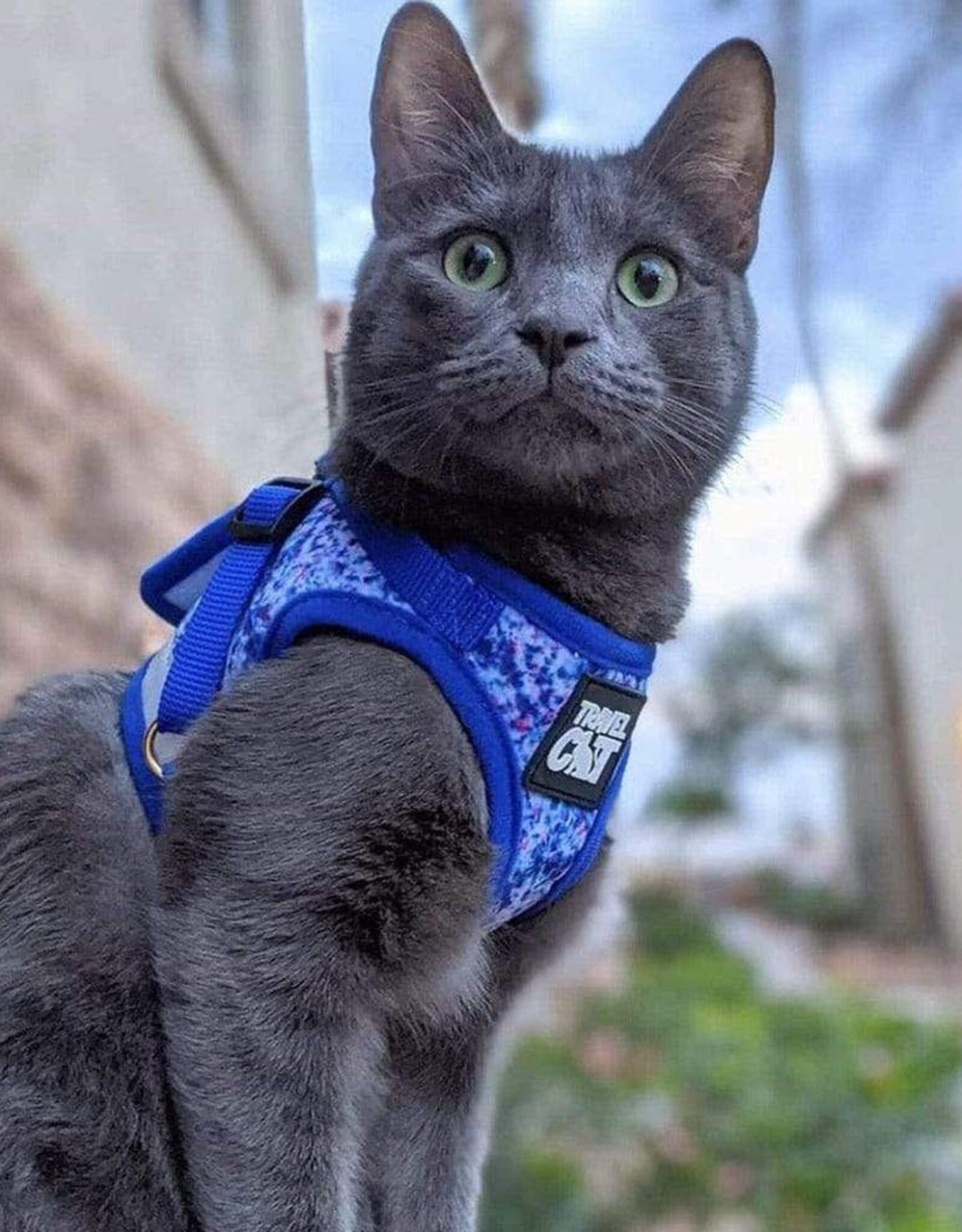 Travel Cat The Groovy Cat Tie Dye Cat Reflective Cat Harness