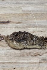 Freeze-Dried Small Quail