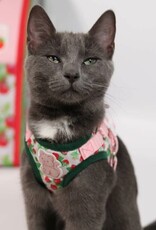 Travel Cat Travel Cat Strawberry Shortcake Harness