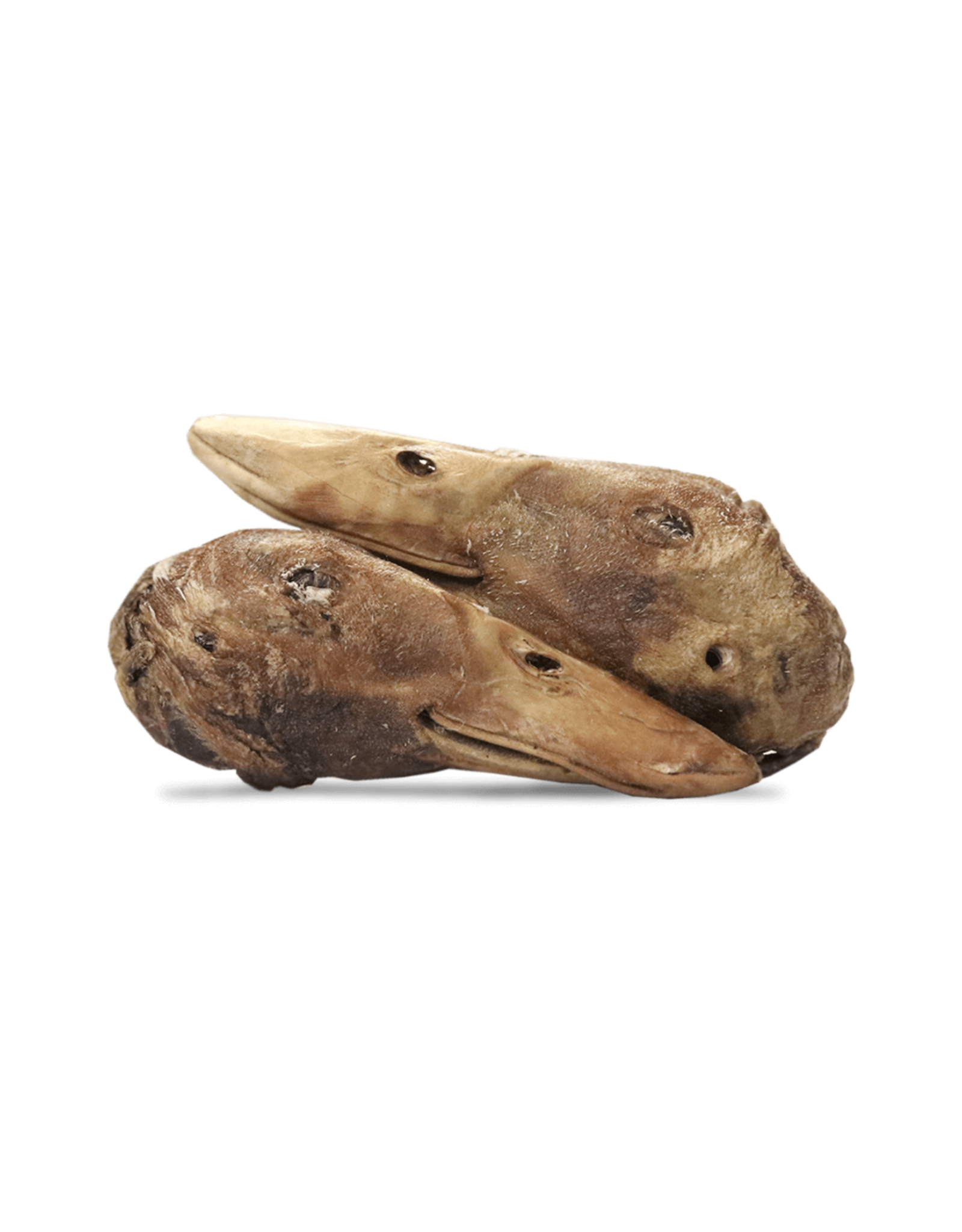 Raw Dog Barkery Freeze-Dried Duck Head