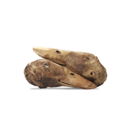 Raw Dog Barkery Freeze-Dried Duck Head