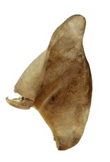 Raw Dog Barkery Freeze-Dried Pig  Ear