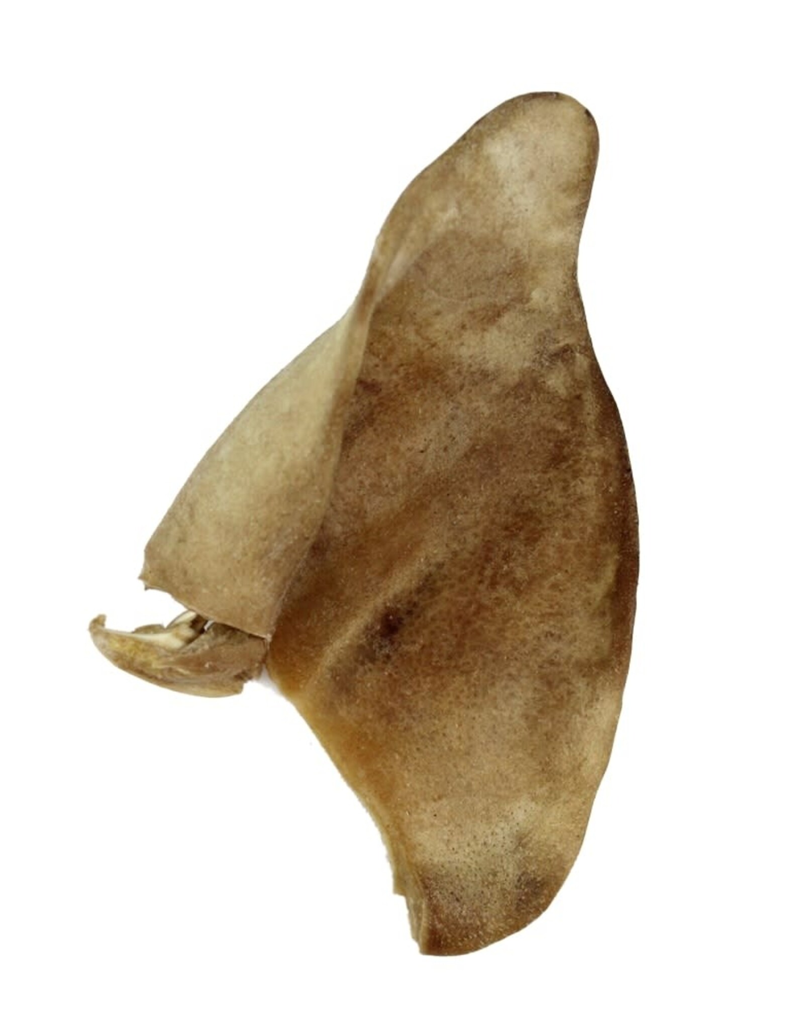 Raw Dog Barkery Freeze-Dried Pig  Ear