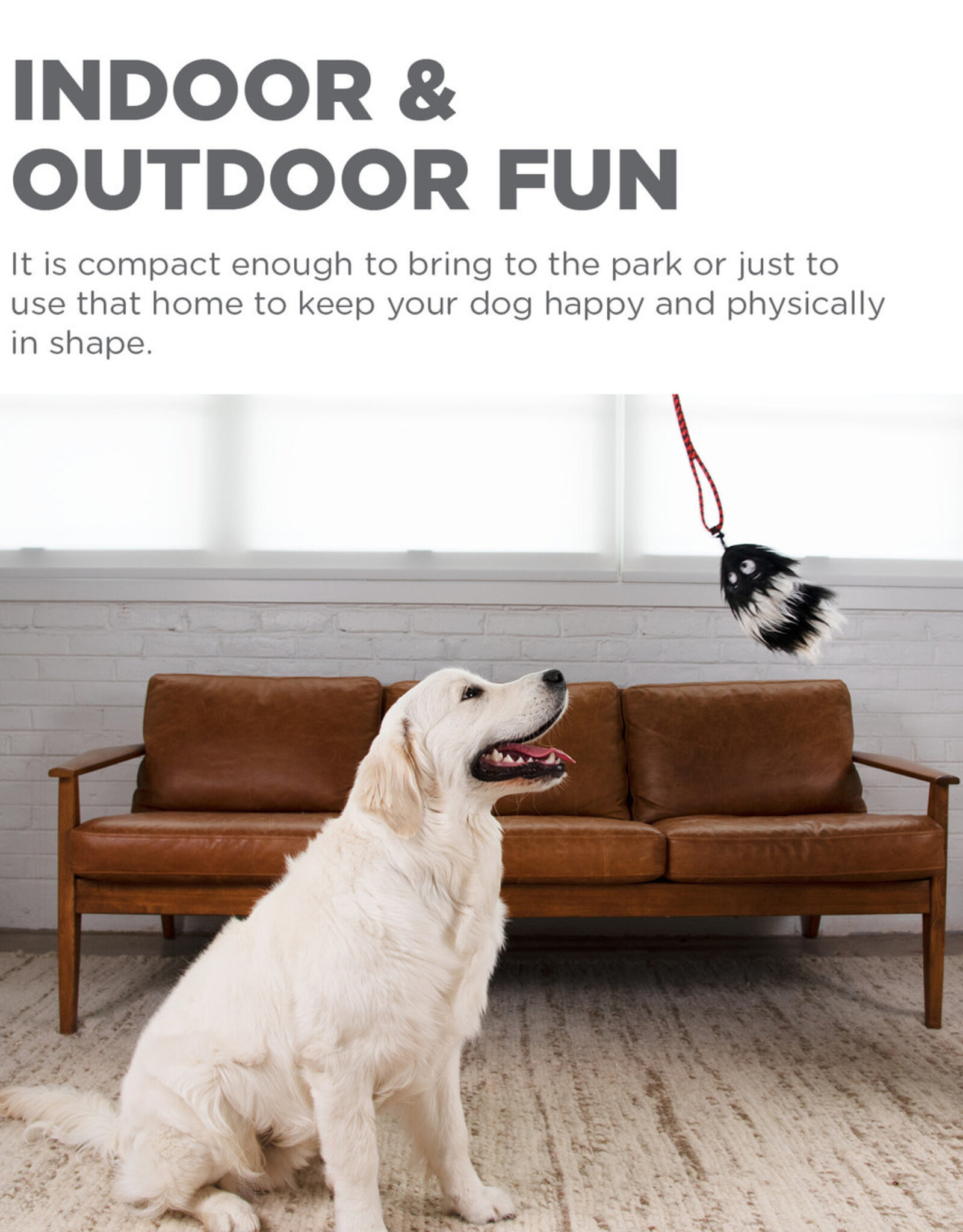 Tail Teaser Dog Wand Lure Toy