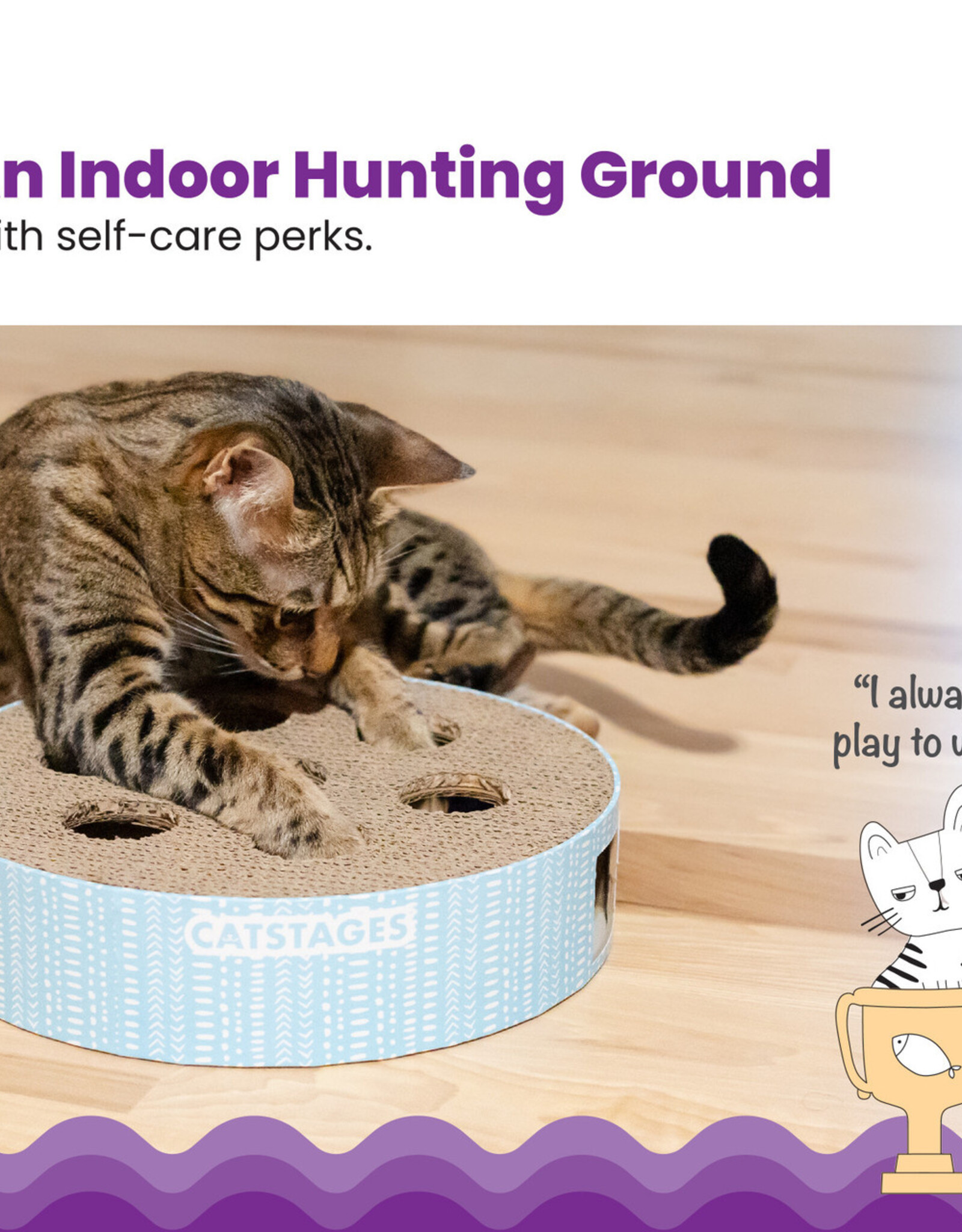 Outward Hound Scratch n' Hunt Puzzle Cat Toy