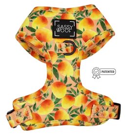 Sassy Woof Sassy Woof Mango Tango Adjustable Dog Harness