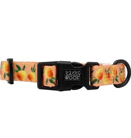 Sassy Woof Sassy Woof Mango Tango Adjustable Dog Collar