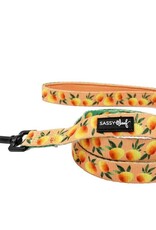 Sassy Woof Sassy Woof Mango Tango Leash