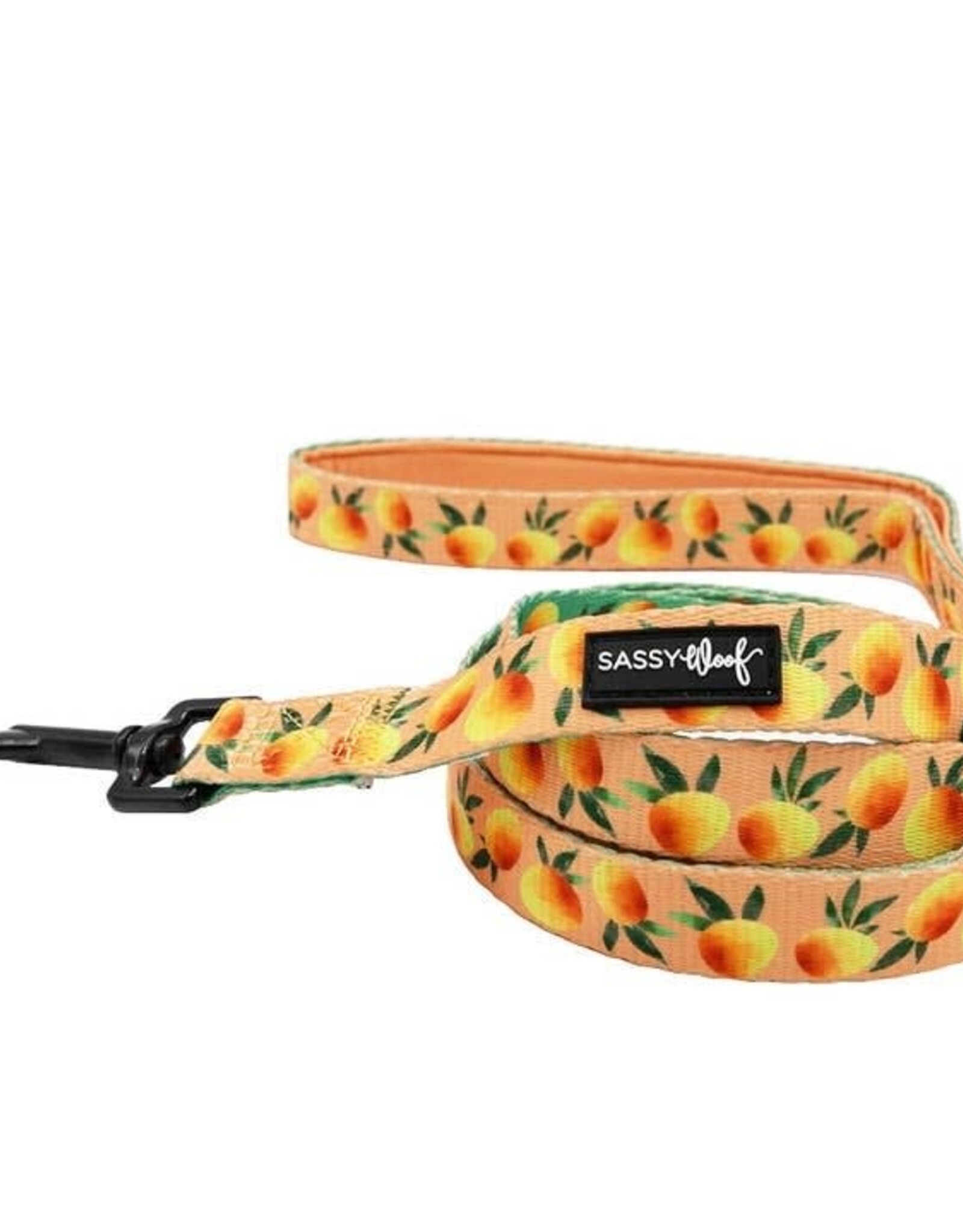 Sassy Woof Sassy Woof Mango Tango Leash