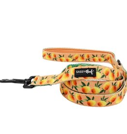 Sassy Woof Sassy Woof Mango Tango Leash