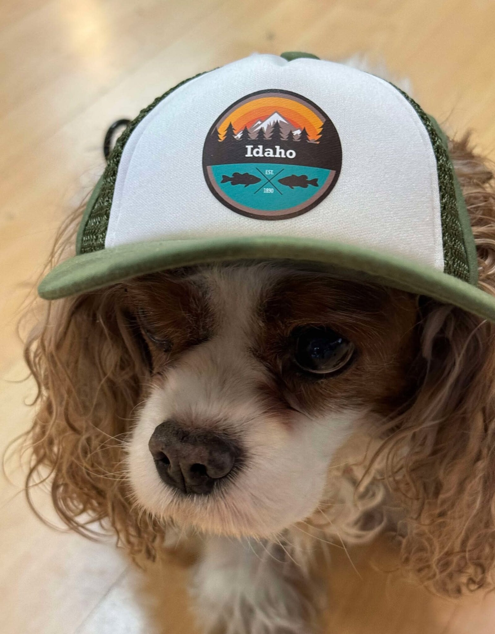 PupLids - Idaho Fish Trucker Hat