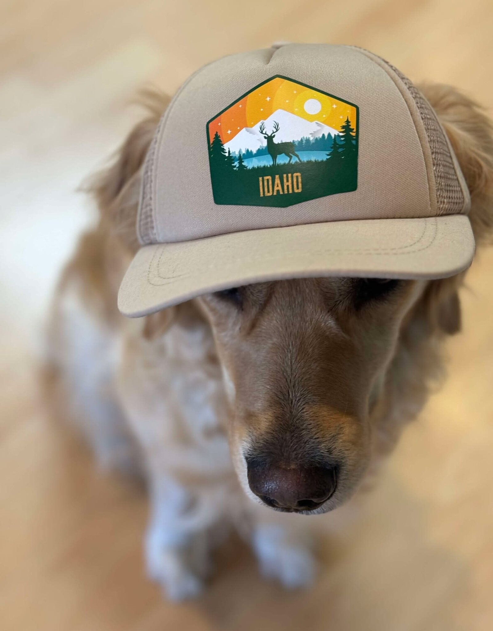 PupLids - Idaho Elk Trucker Hat