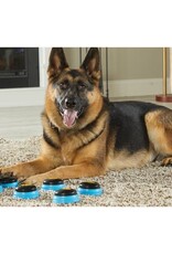 Hunger for Words Hunger for Words Talking Pet Essentials Set