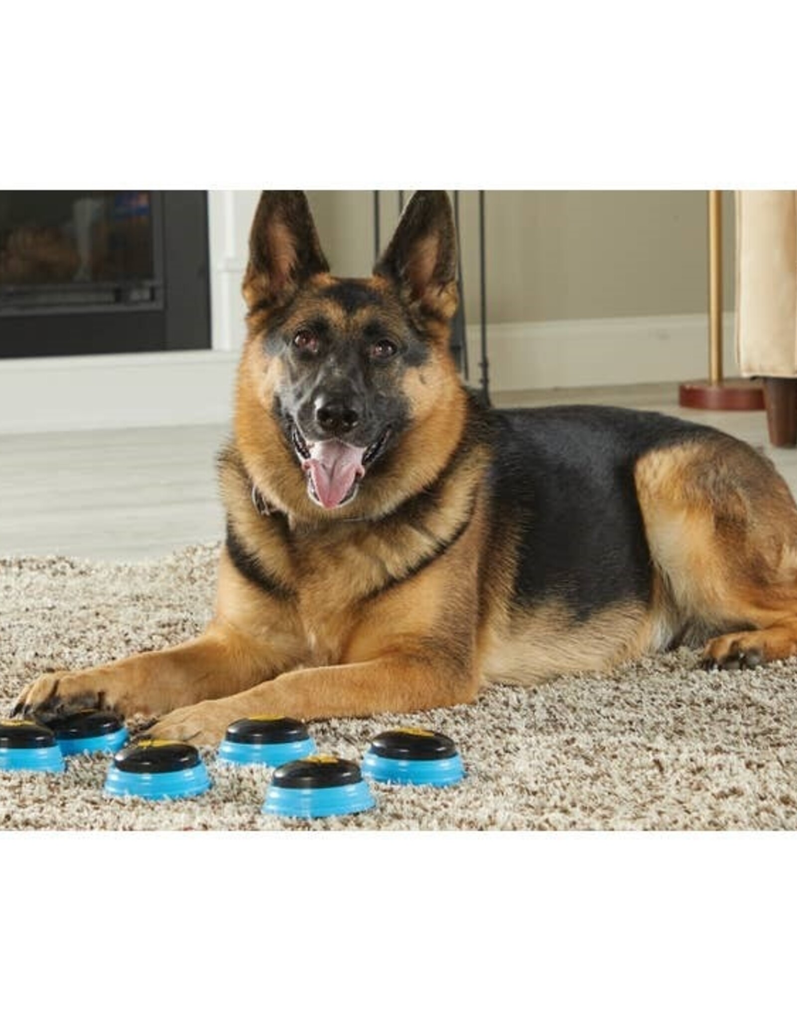 Hunger for Words Hunger for Words Talking Pet Essentials Set