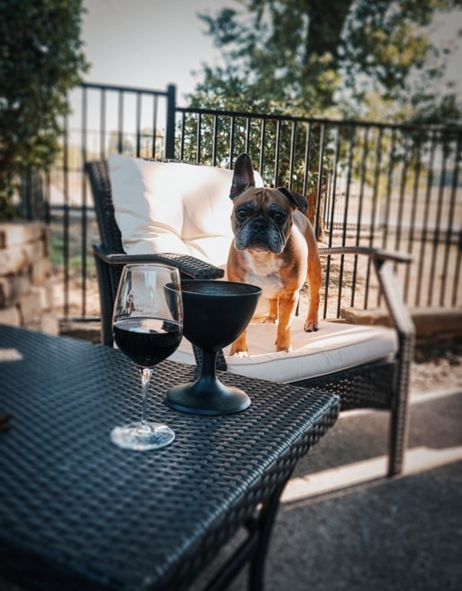 Wine Dog Dish - Cocktails with Fred