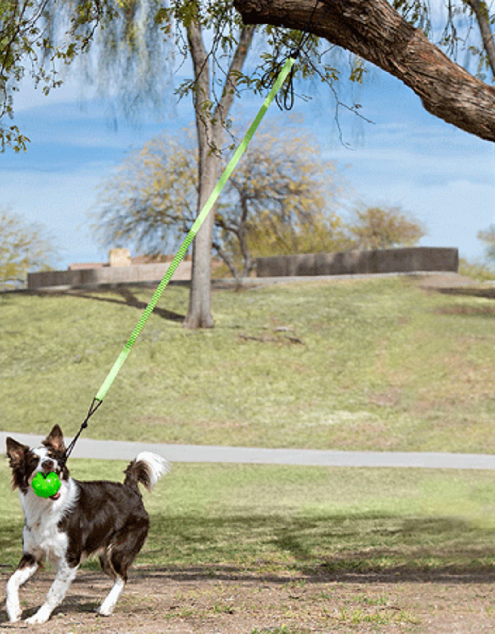 JollyPet Tree Tugger Large