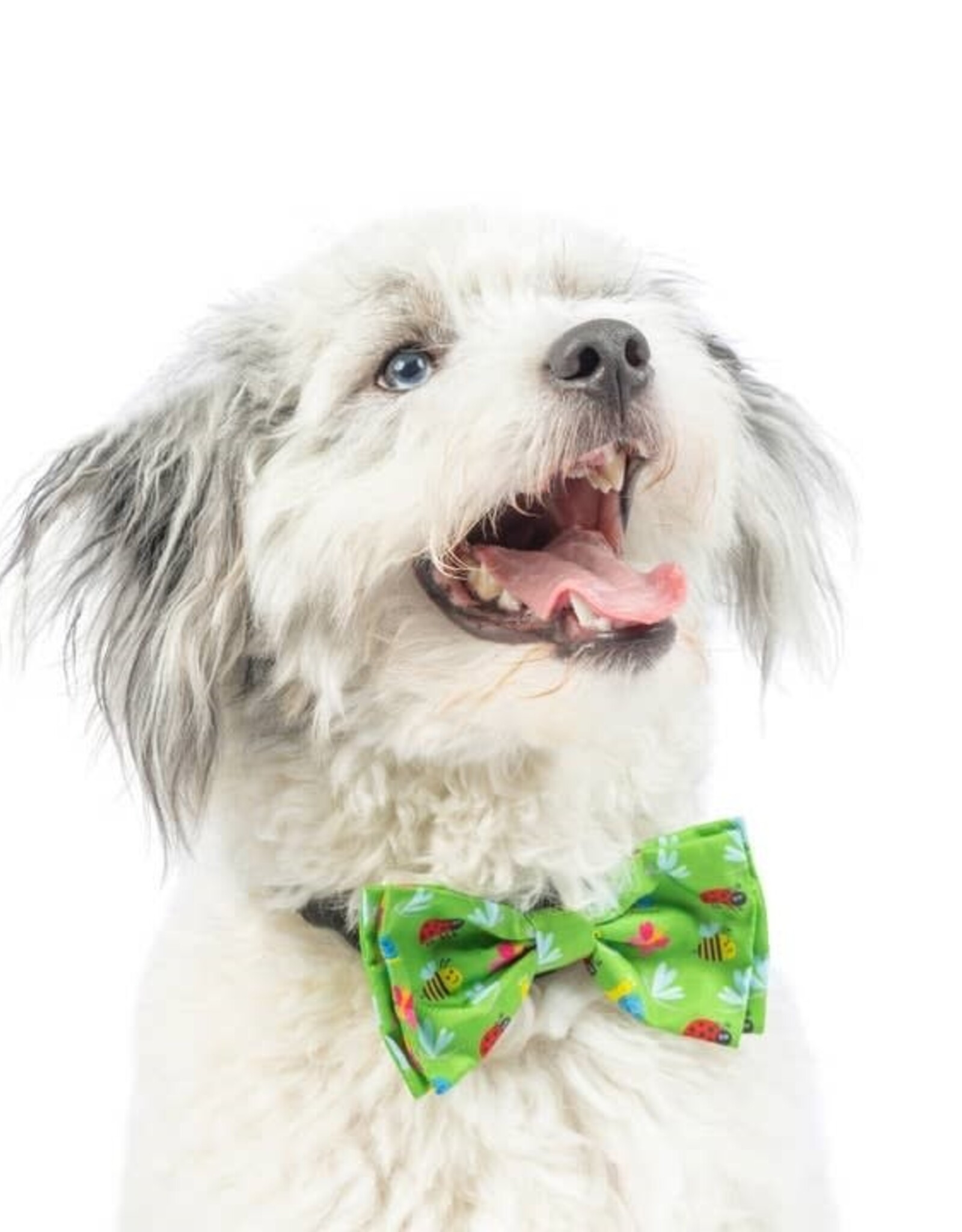Bow Tie - Garden Party