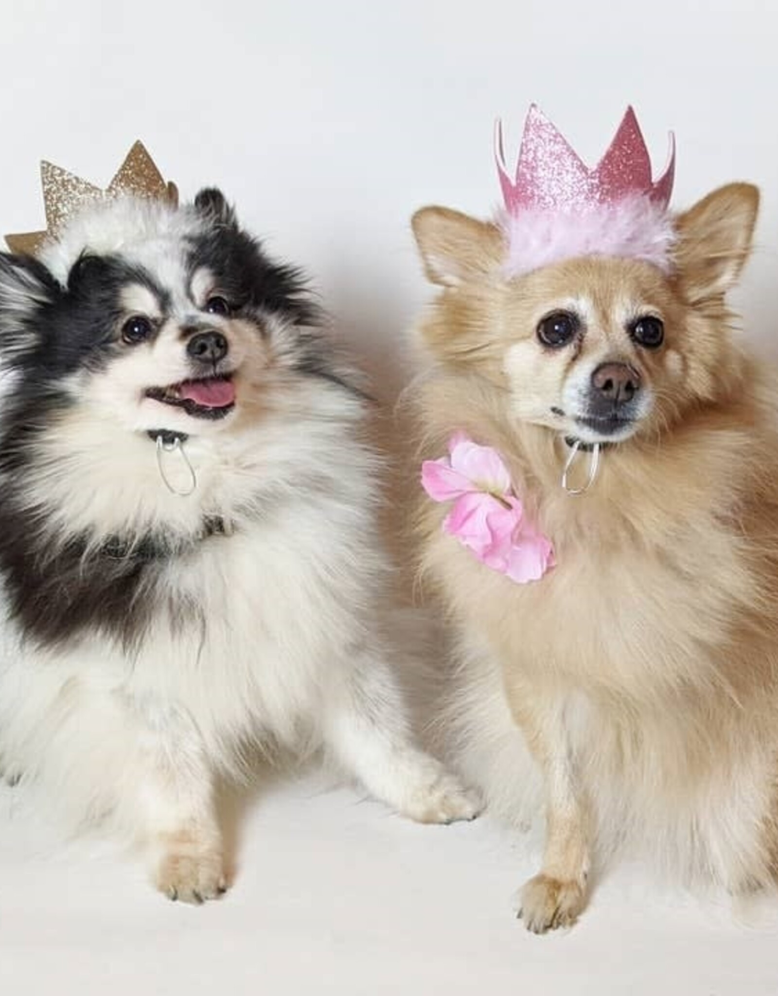 Huxley & Kent Party Crown