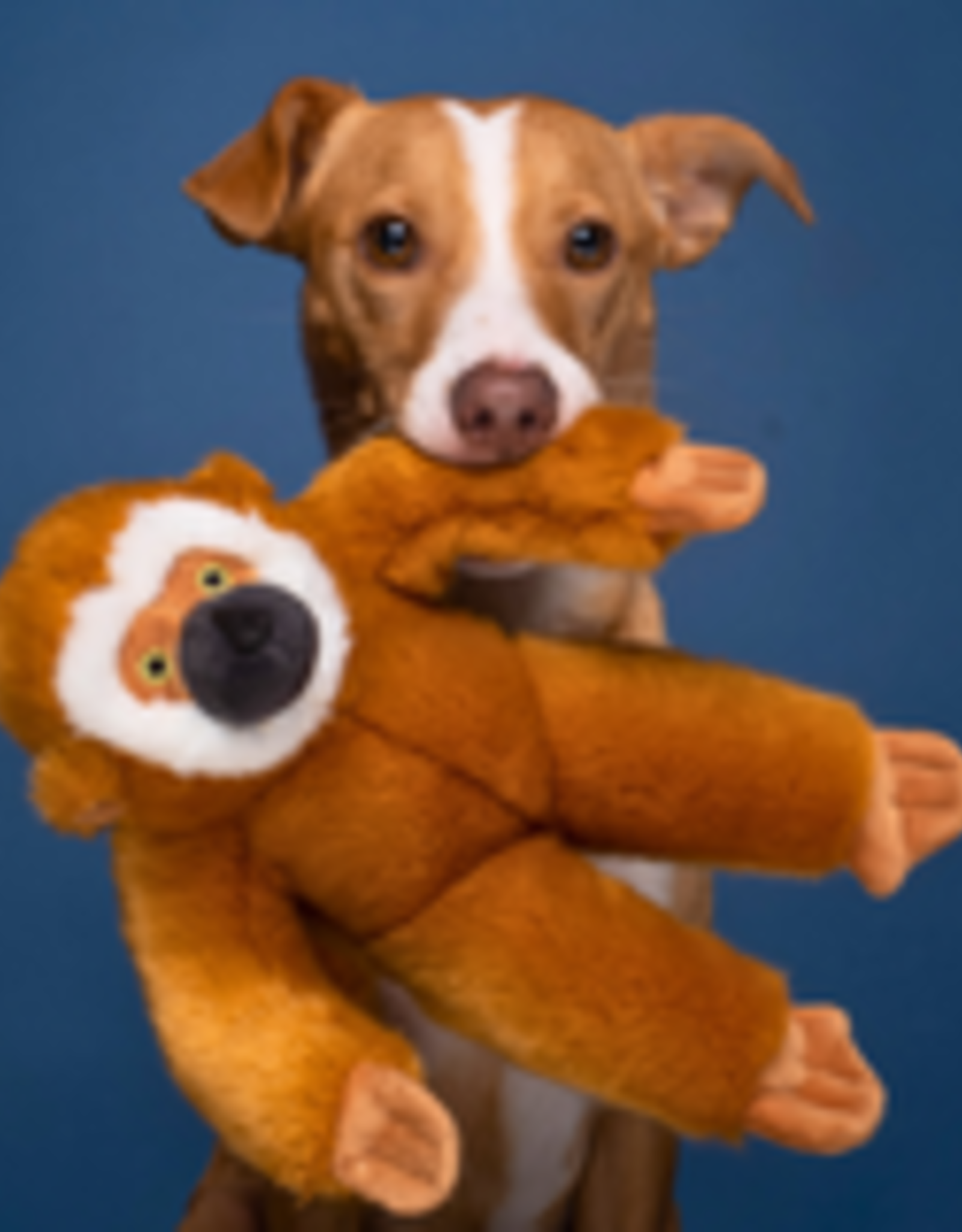 Fluff & Tuff Fluff & Tuff Marcel Monkey